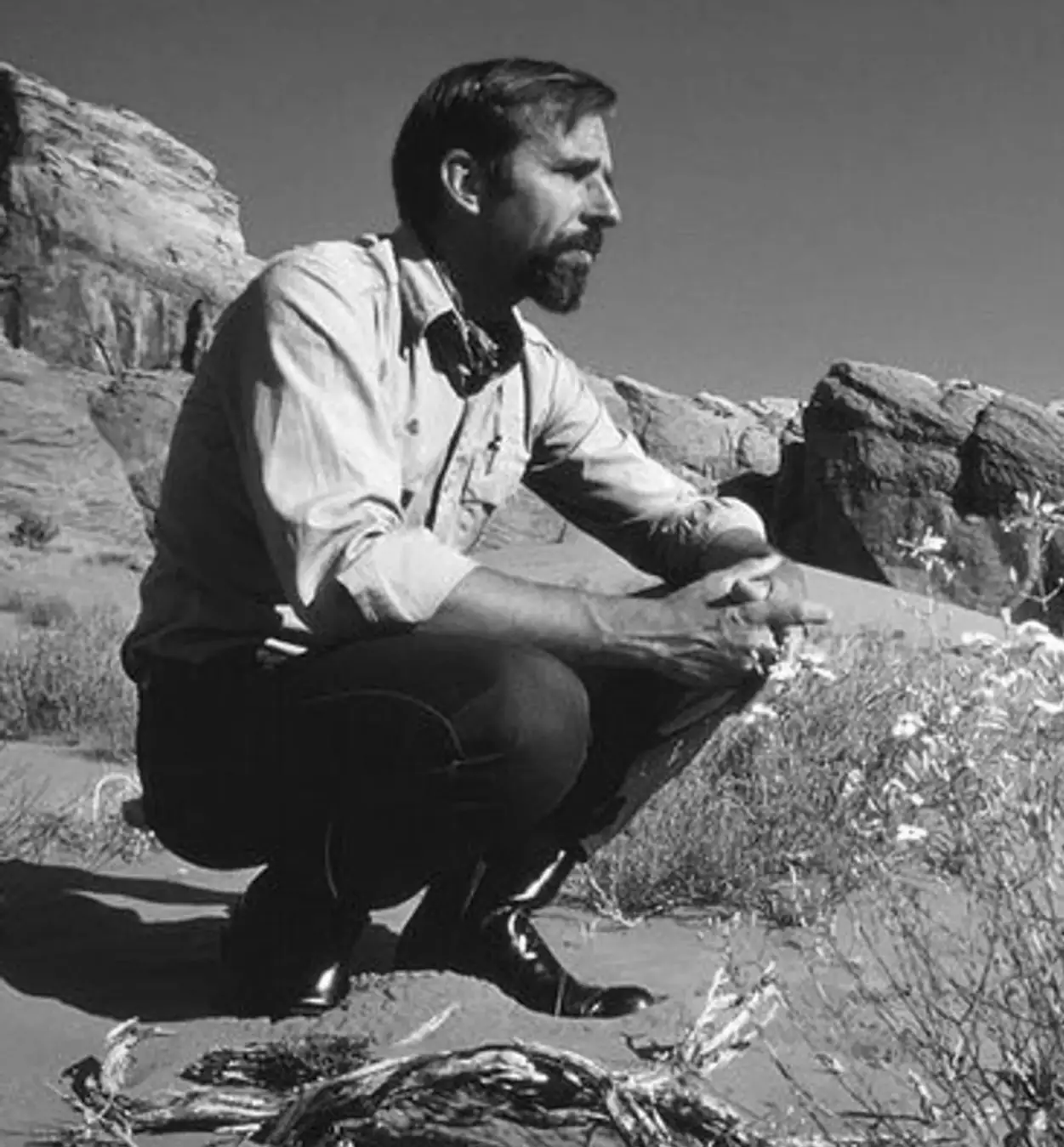 black sun , by edward abbey (cropped)